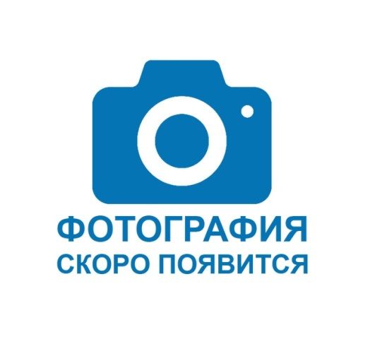 NBB-500