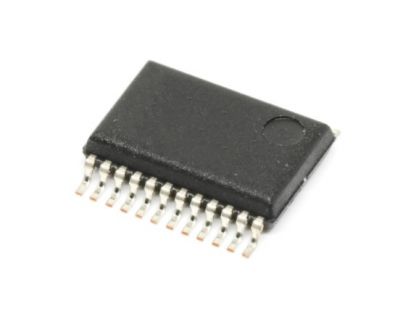 MAX7221EWG+