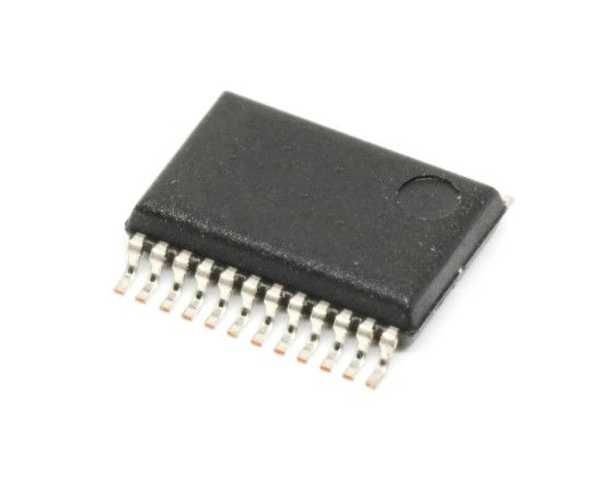 MAX7221EWG+